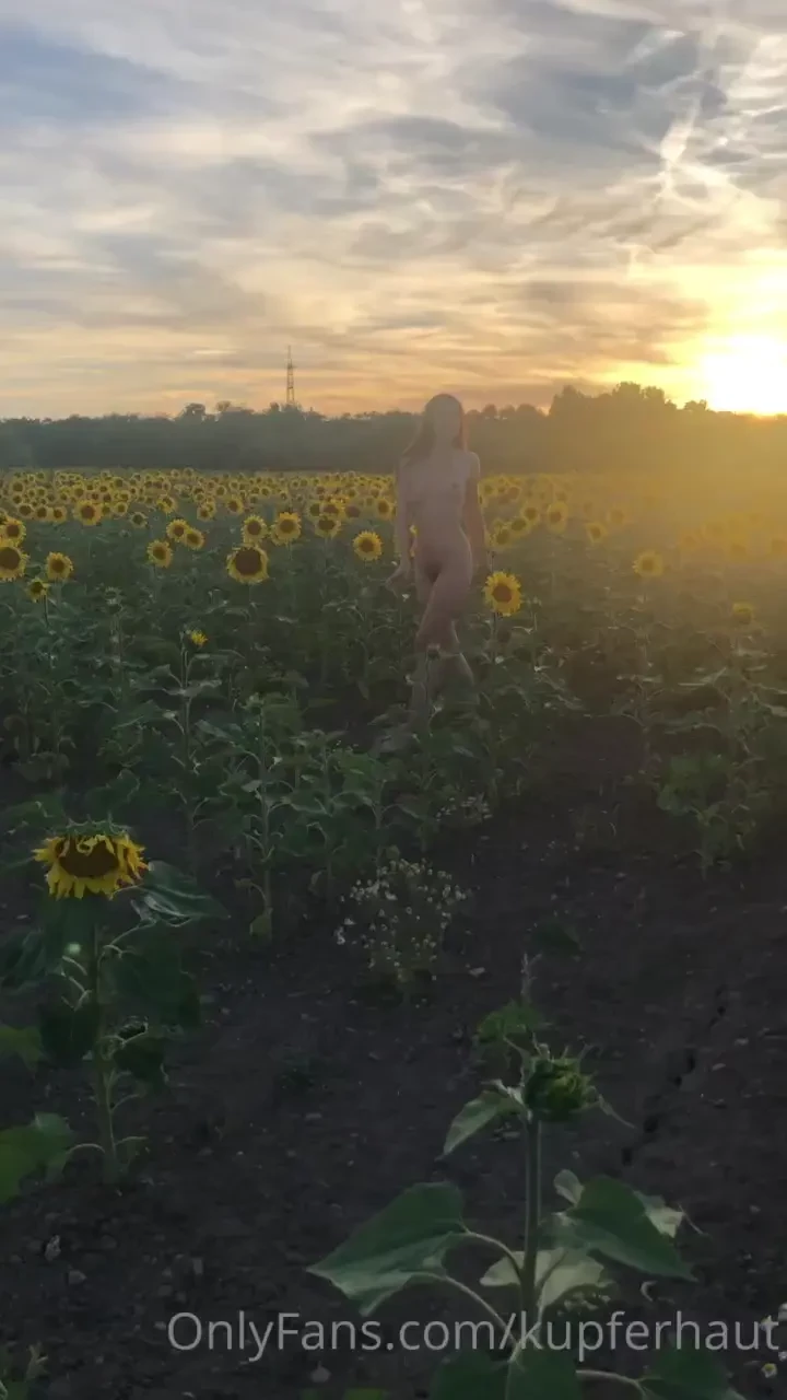Who also loves sunflower fields d 