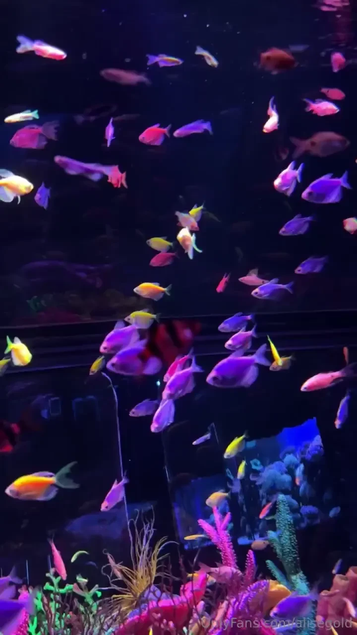 How do you look to diversify your inner world you ll love it 