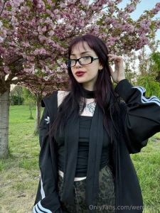 Isn t it a beautiful tree it s worth taking a few minutes and savoring part 1