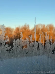 Nature making art