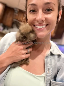 Gotta make a bunny hut now part 1