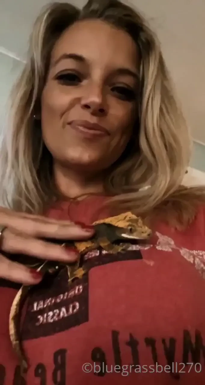 Stroking my lizard she likes to hang out on my chest i mean wouldn t 