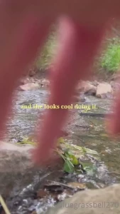 If you want photos from my creek session today just send me a message