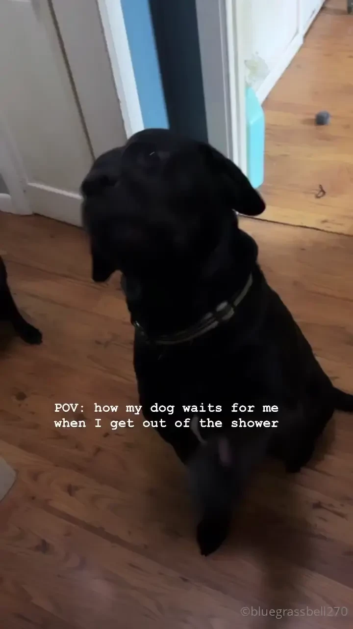 You can t see anything here so why not join the party on my vip page 