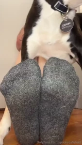 Watch me try to take off my sweaty socks while my dogs distract me