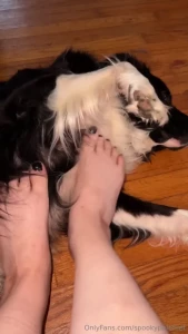 Post work feet featuring my dogs i almost didn t even post the longer part 2