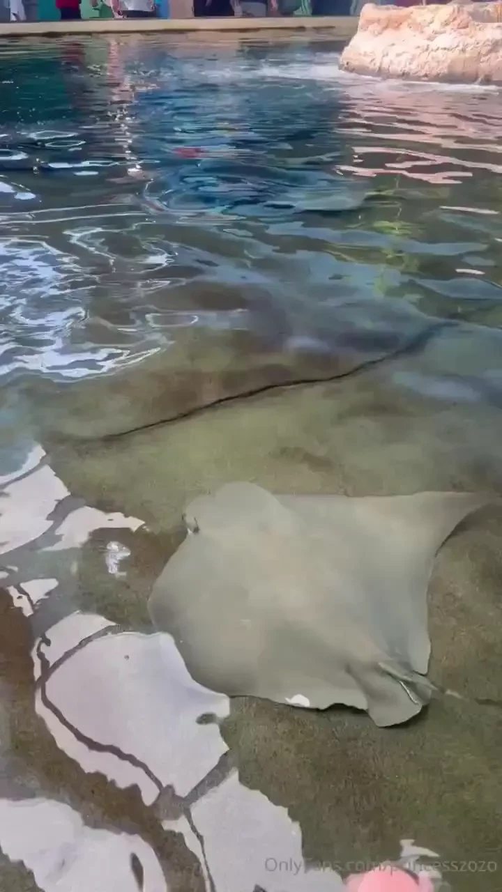 Had fun at sea world on sunday went on tons of roller coasters and got part 1 