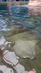 Had fun at sea world on sunday went on tons of roller coasters and got part 1