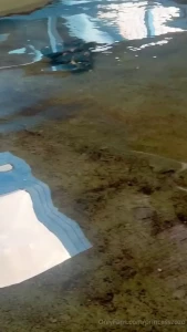 Had fun at sea world on sunday went on tons of roller coasters and got