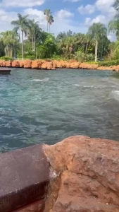 Had fun at sea world on sunday went on tons of roller coasters and got part 5