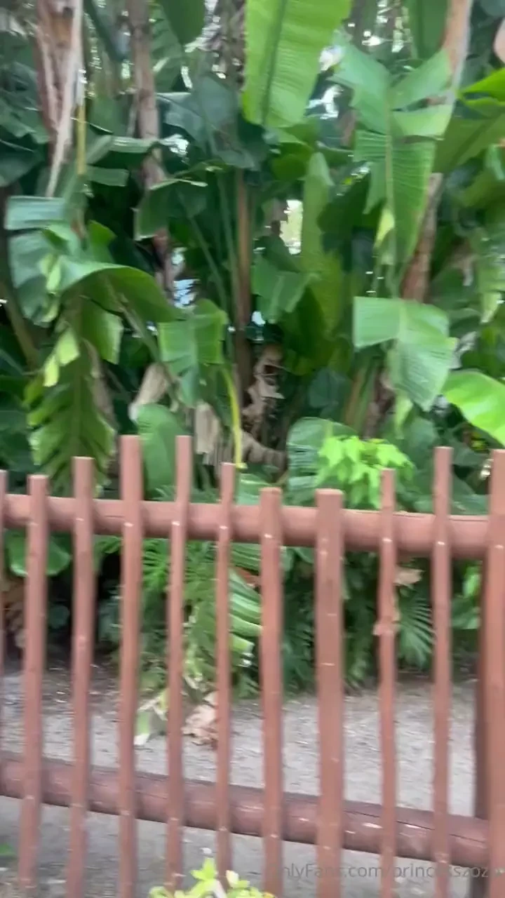 Had fun at sea world on sunday went on tons of roller coasters and got part 2 