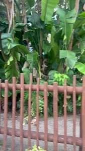 Had fun at sea world on sunday went on tons of roller coasters and got part 2