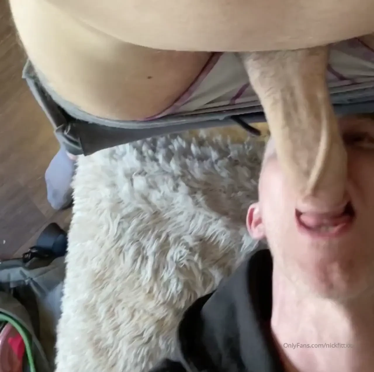 Sucking huge dick mmmmm 
