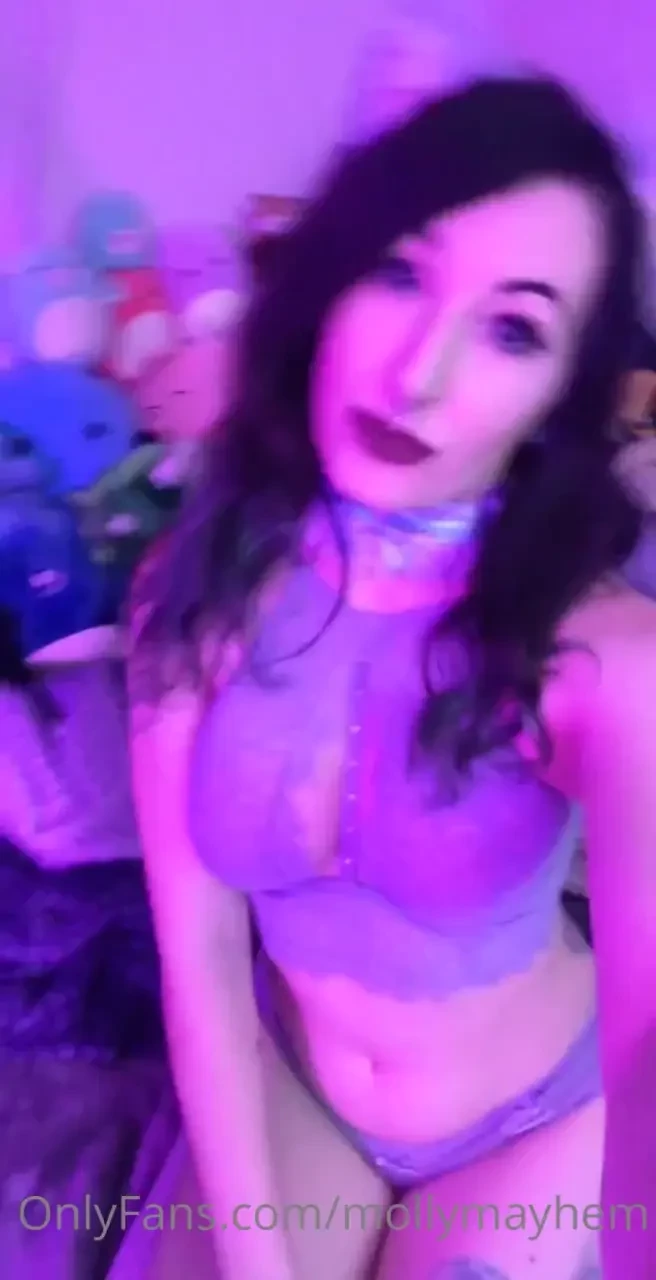 Bts of a vampire kitten vampire mau 