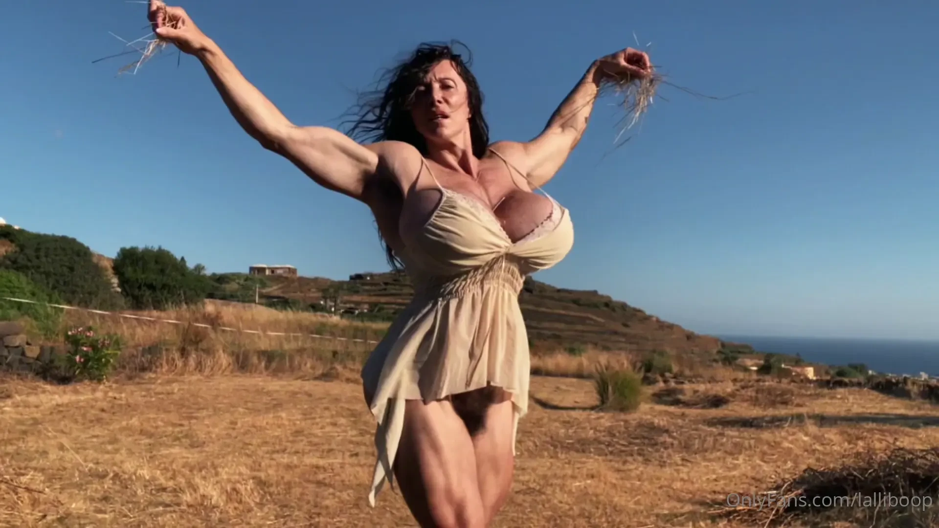 The protagonists are hay and rake the rest is scenery full version on 