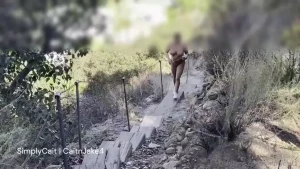 Nude in my sneakers - taking in the day on a walk what you see was all