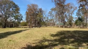 By far my favorite camping spot along my road trip from florida to new