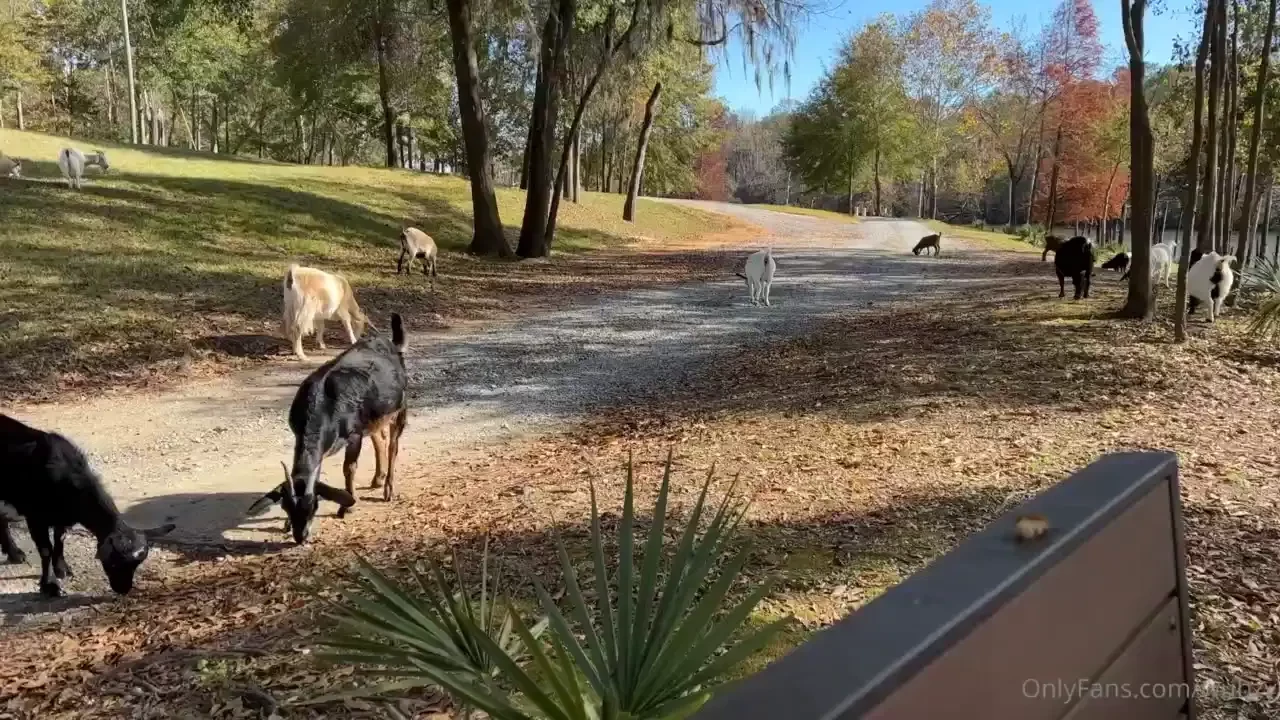By far my favorite camping spot along my road trip from florida to new part 2 