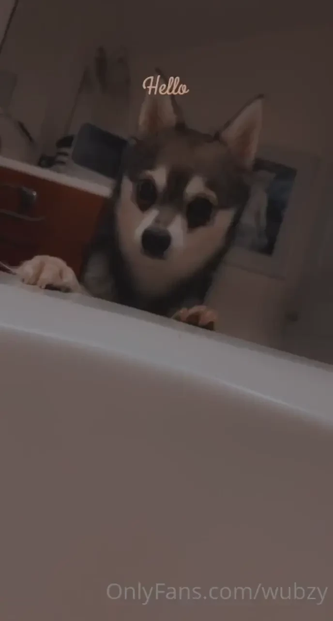 Amp look at dis little cutiepatootie 