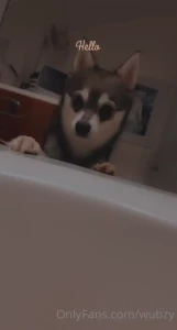 Amp look at dis little cutiepatootie