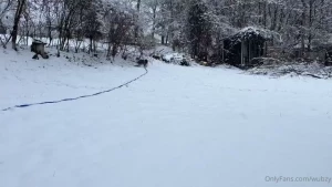 Just when i thought spring was coming it snowed again