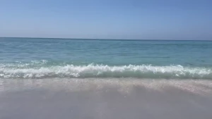 Come join me on the beach