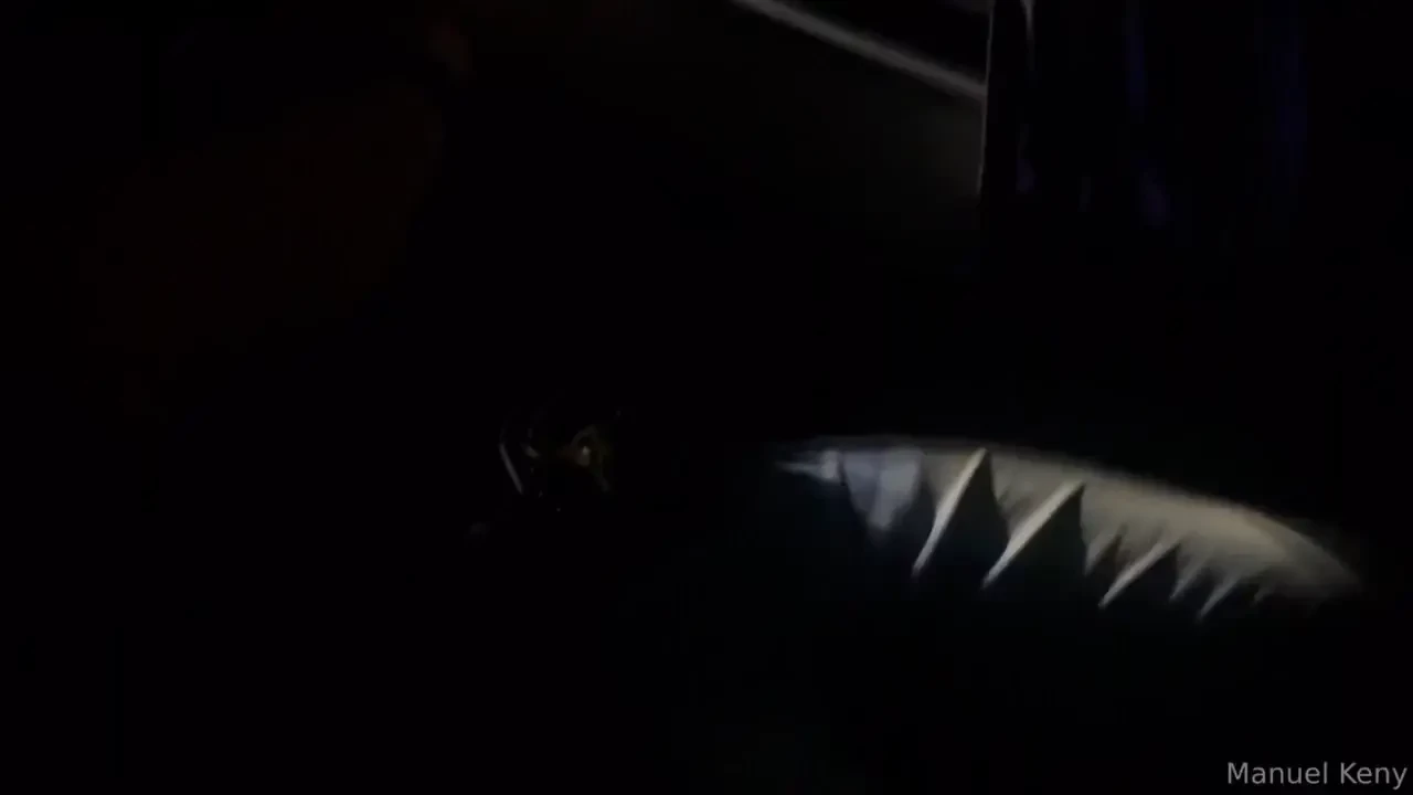 Viaje caliente fernomade 