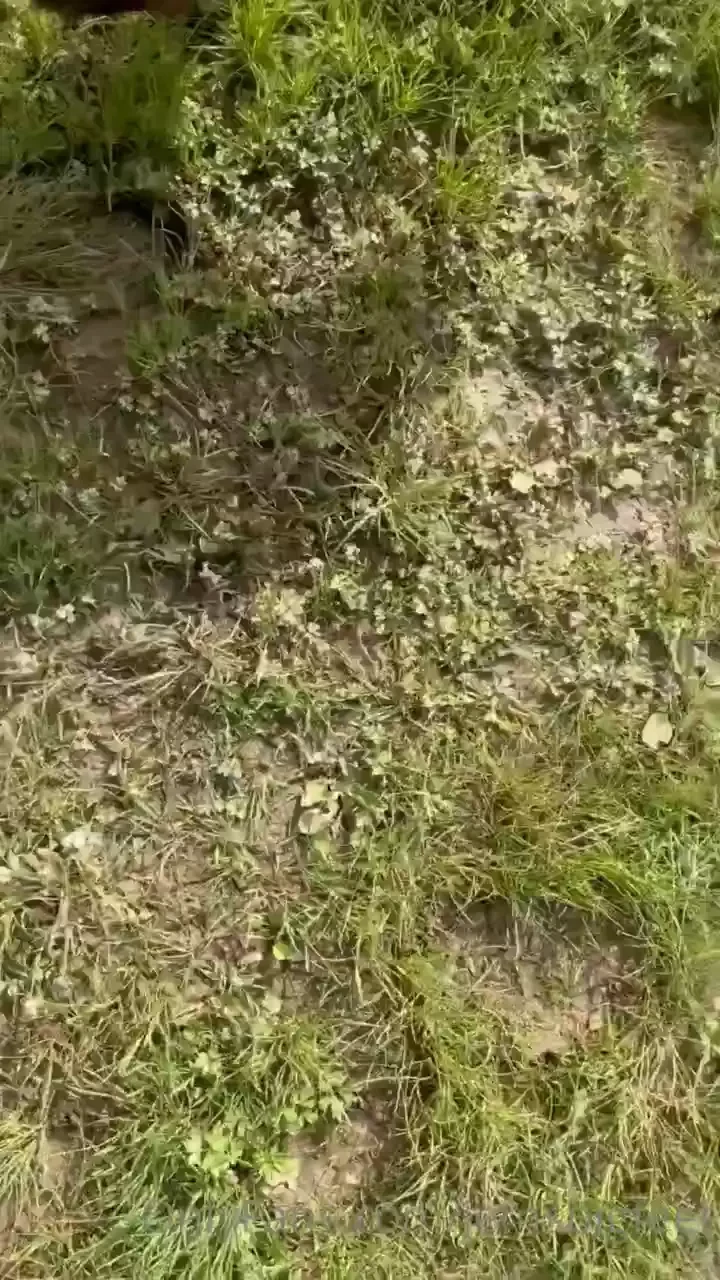 Wore the wrong shoes got a blister rip toms 