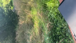 Dlaczego m j seks jest teraz tak wspania y bo po raz pierwszy nie udaj