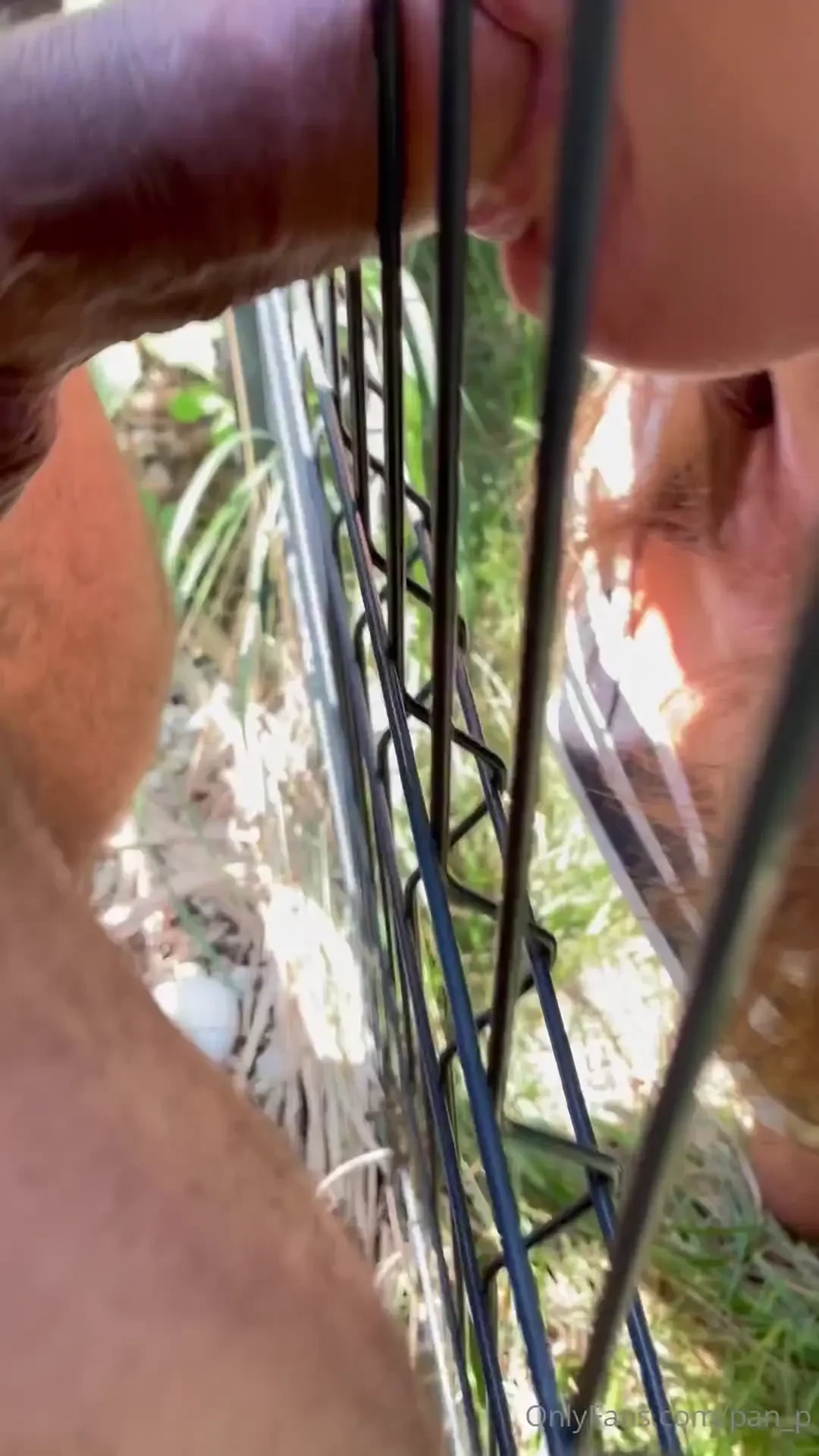 Adna przeszkoda mnie nie powstrzyma id po swoje bez l ku bez wahania 