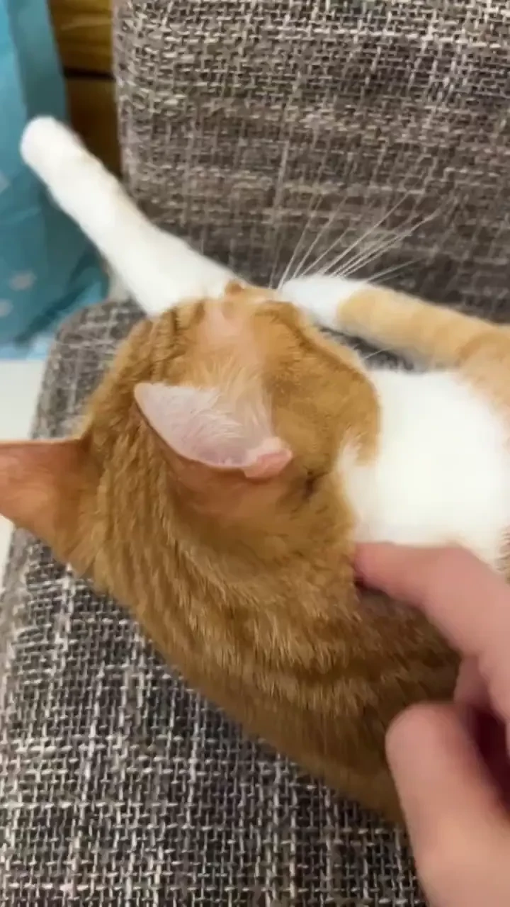 I ve been hanging out with my grandma all night watching shows it 