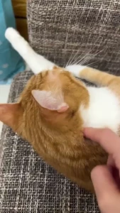 I ve been hanging out with my grandma all night watching shows it