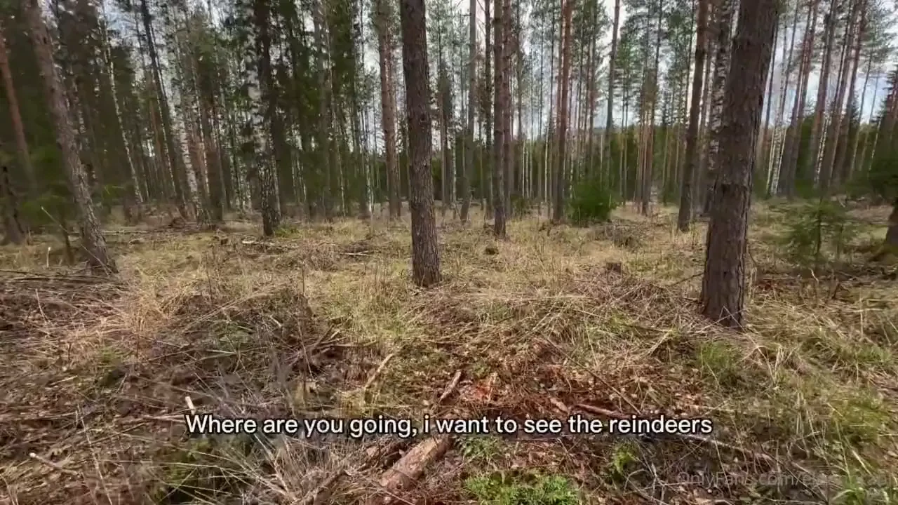 Fin t n n oli p iv kun mulle selvisi ettei etel ss ole poroja piti 