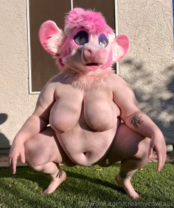 It s almost breeding season right disclaimer photos were taken on my part 19