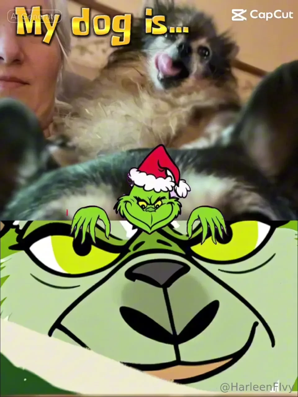 I knew my fur babies were the grinch lol 