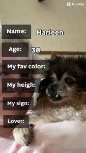 A little bit about me part 1