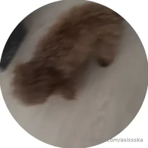 My little pup had an accident and broke her leg seeing her in pain is