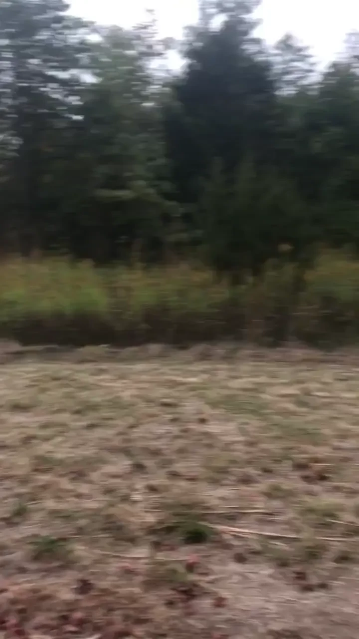 Had him on his knees in a park behind his house 