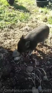 I love my farm no judgement just fun lots of love my piece of paradise part 5