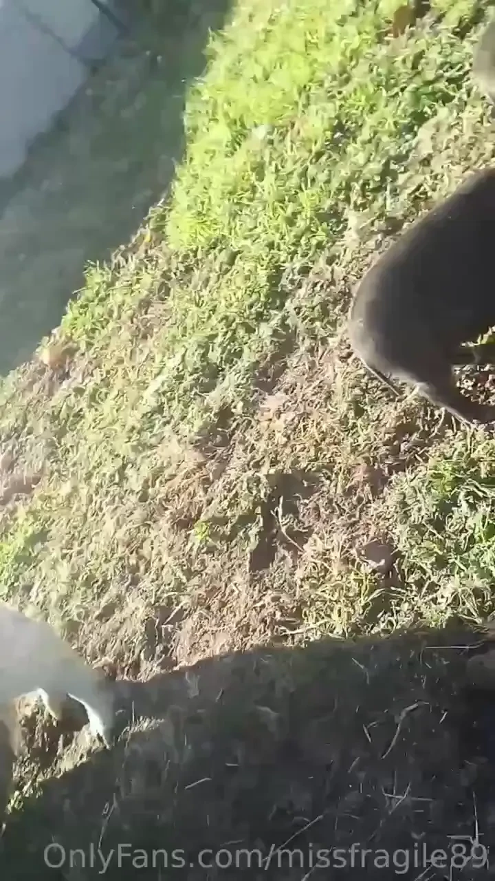 I love my farm no judgement just fun lots of love my piece of paradise part 1 