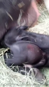 I love my farm no judgement just fun lots of love my piece of paradise part 4