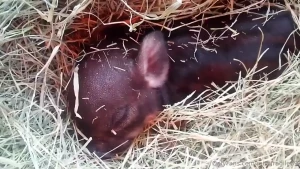 I love my farm no judgement just fun lots of love my piece of paradise