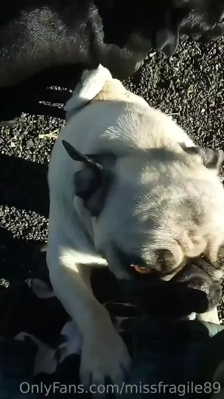 I love my farm no judgement just fun lots of love my piece of paradise part 3 