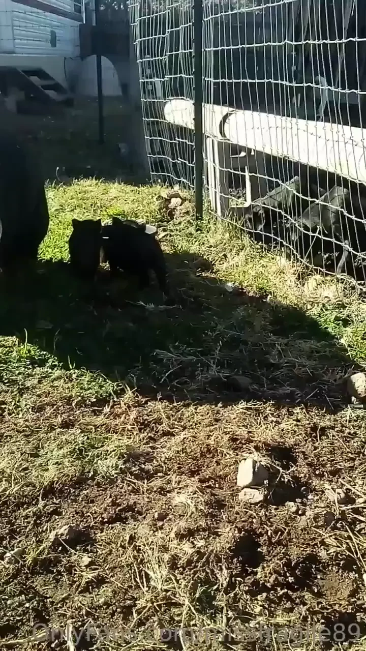 I love my farm no judgement just fun lots of love my piece of paradise part 2 