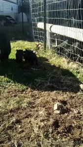 I love my farm no judgement just fun lots of love my piece of paradise part 2