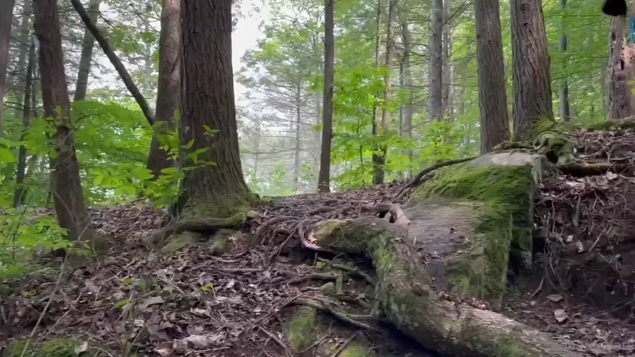 Lake fuck she invited over to have fun day on the boat next thing i 