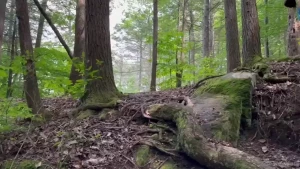 Lake fuck she invited over to have fun day on the boat next thing i