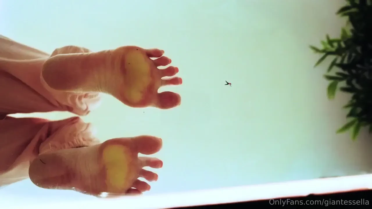 Story its your birthday and your step sis grands you one wish you 