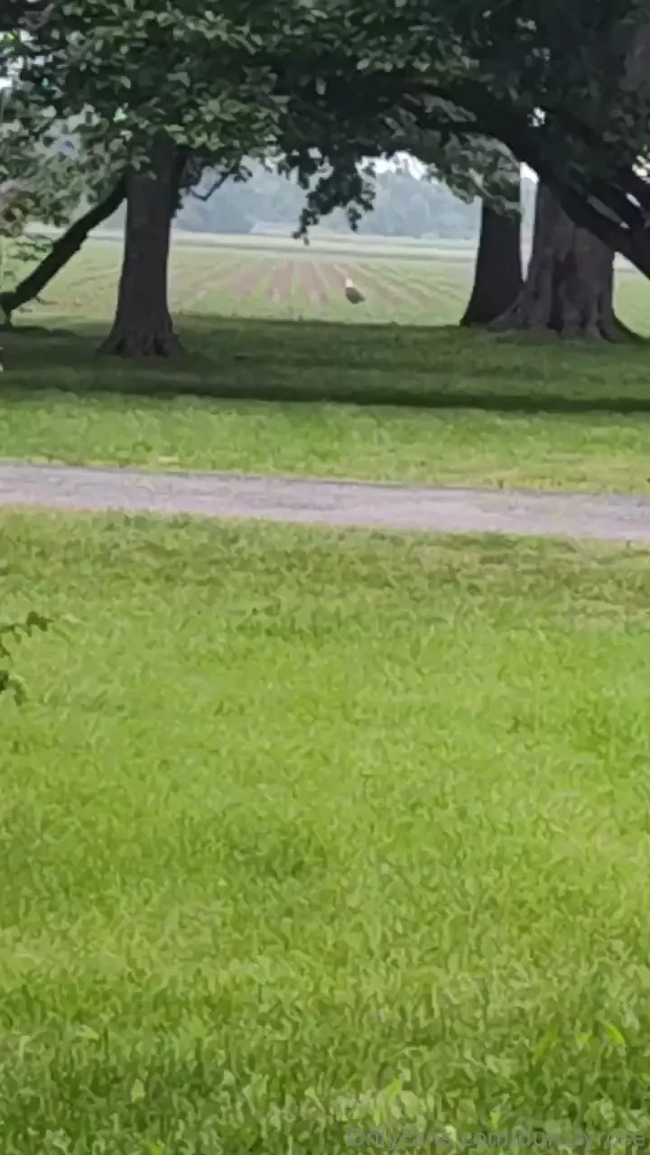 I know this is onlyfans but check out this badass eagle i seen today 