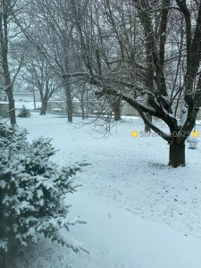 Stuck at home so you know that means we have all day to cum together